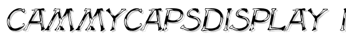CammyCapsDisplay Italic font